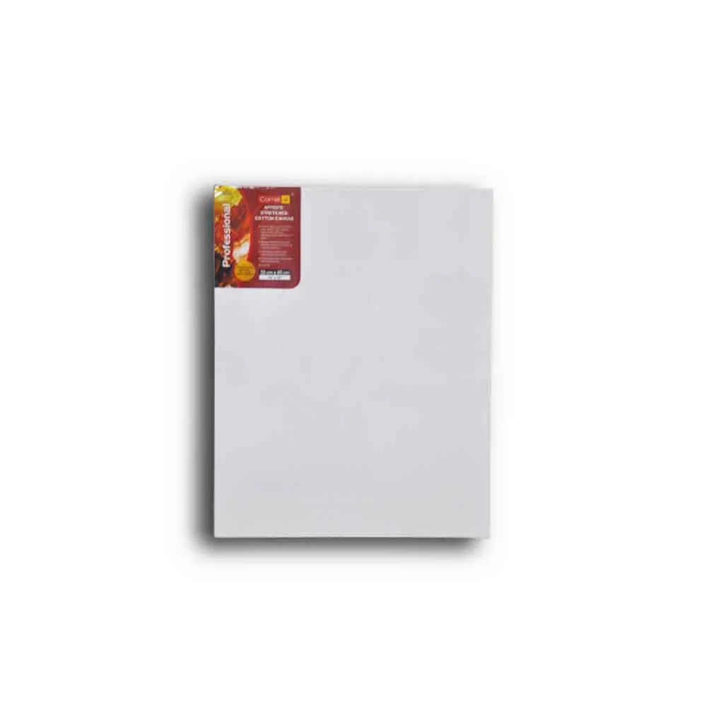 Artist Canvas Frame 45*35 cm Camlin