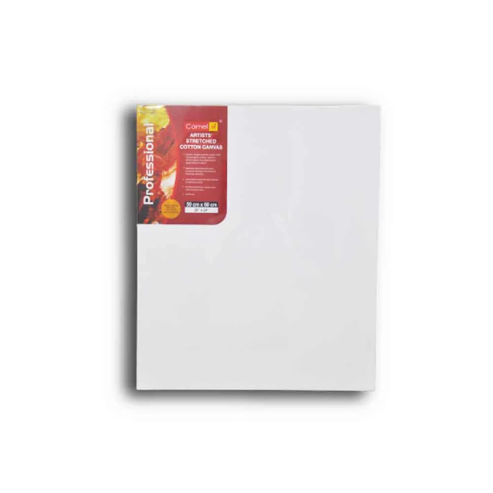 Artist Canvas Frame 50*60 cm Camlin