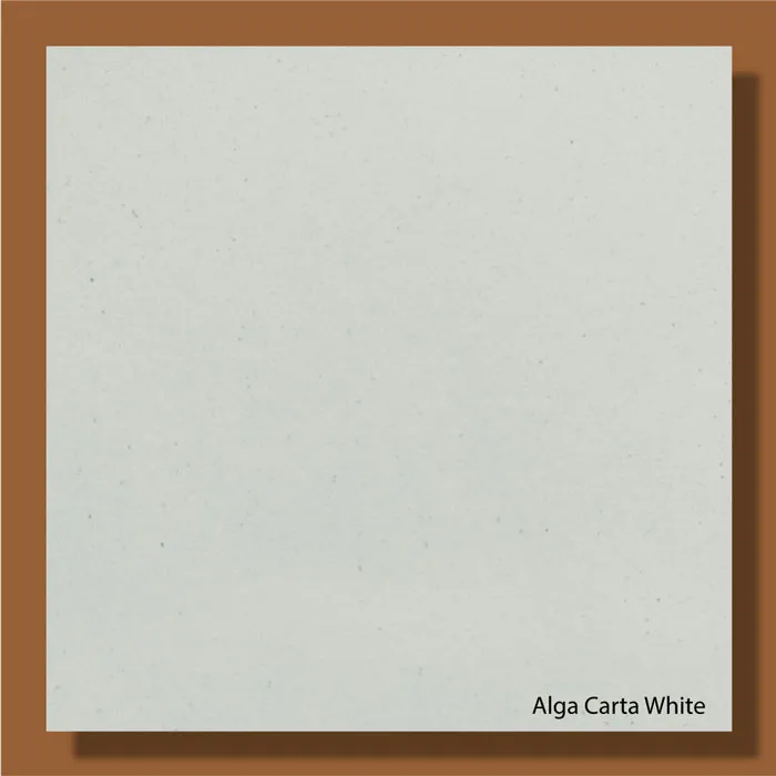 Alga Carta White 300gsm - 720*1000mm Favini
