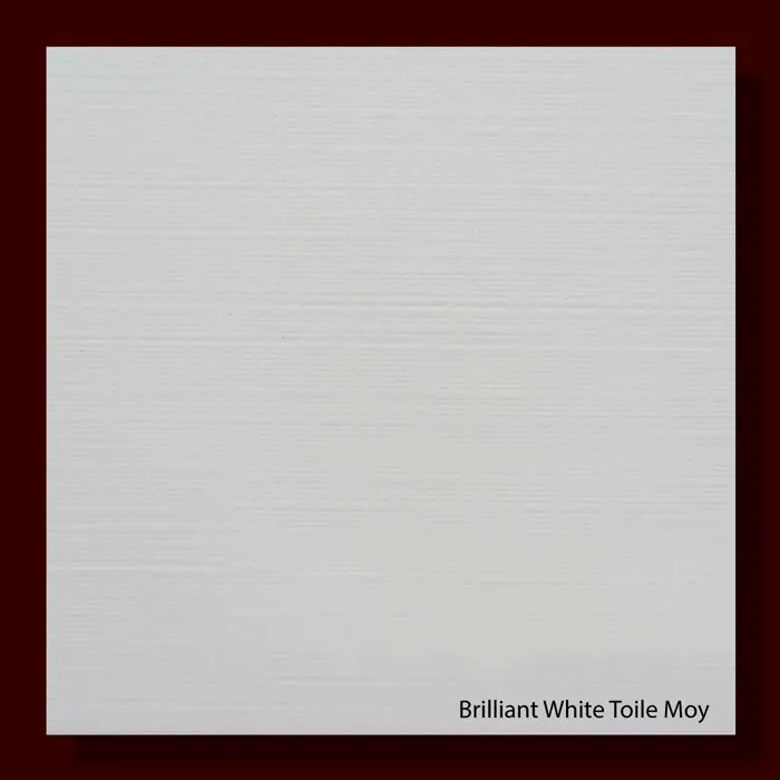 Toile Moy Brilliant White 300gsm Embossed Paper - 670*980mm Milano