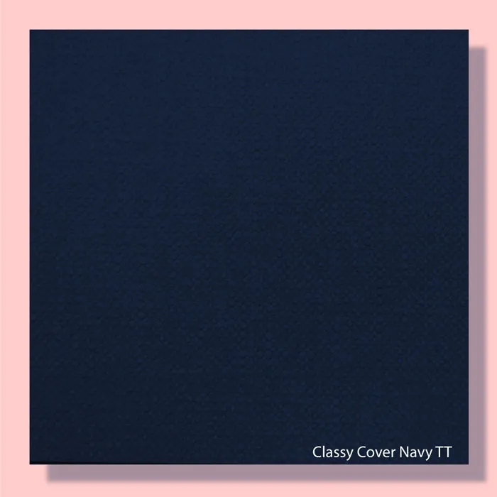 Classic Covers Navy 120gsm - 720*1000mm Favini