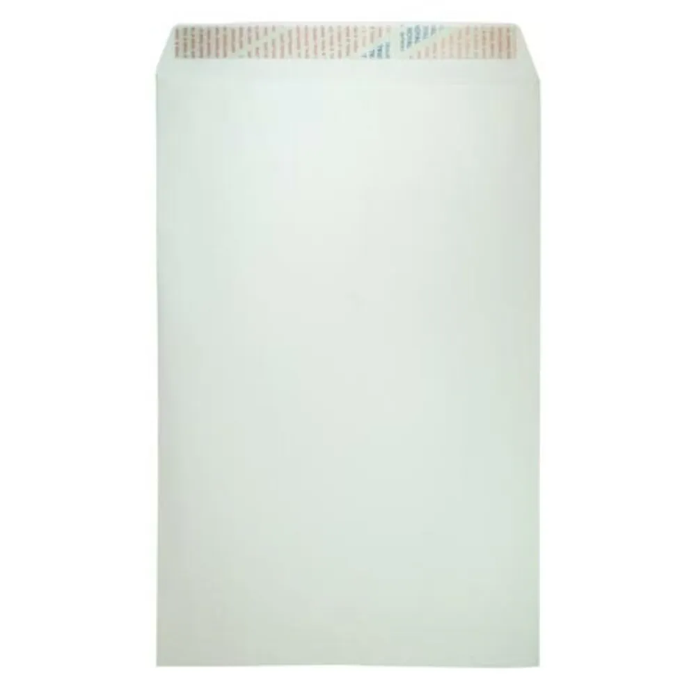 Envelope White Plain 10"x15", W254*D381mm [Pk100] PP