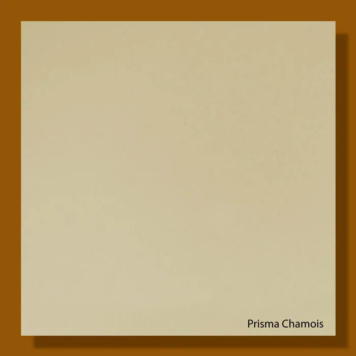 Prisma Chamois 220gsm - 700*1000mm Favini