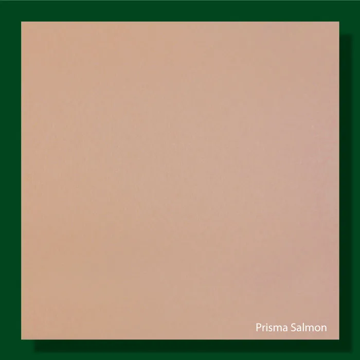 Prisma Salmon 220gsm - 700*1000mm Favini
