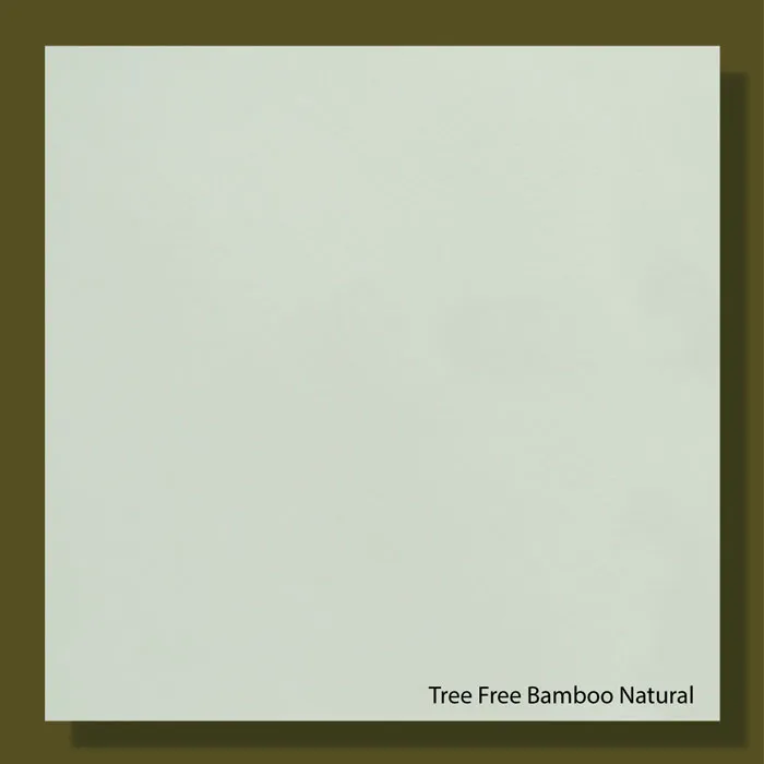 Tree Free Bamboo Natural 200gsm - 700*1000mm Favini
