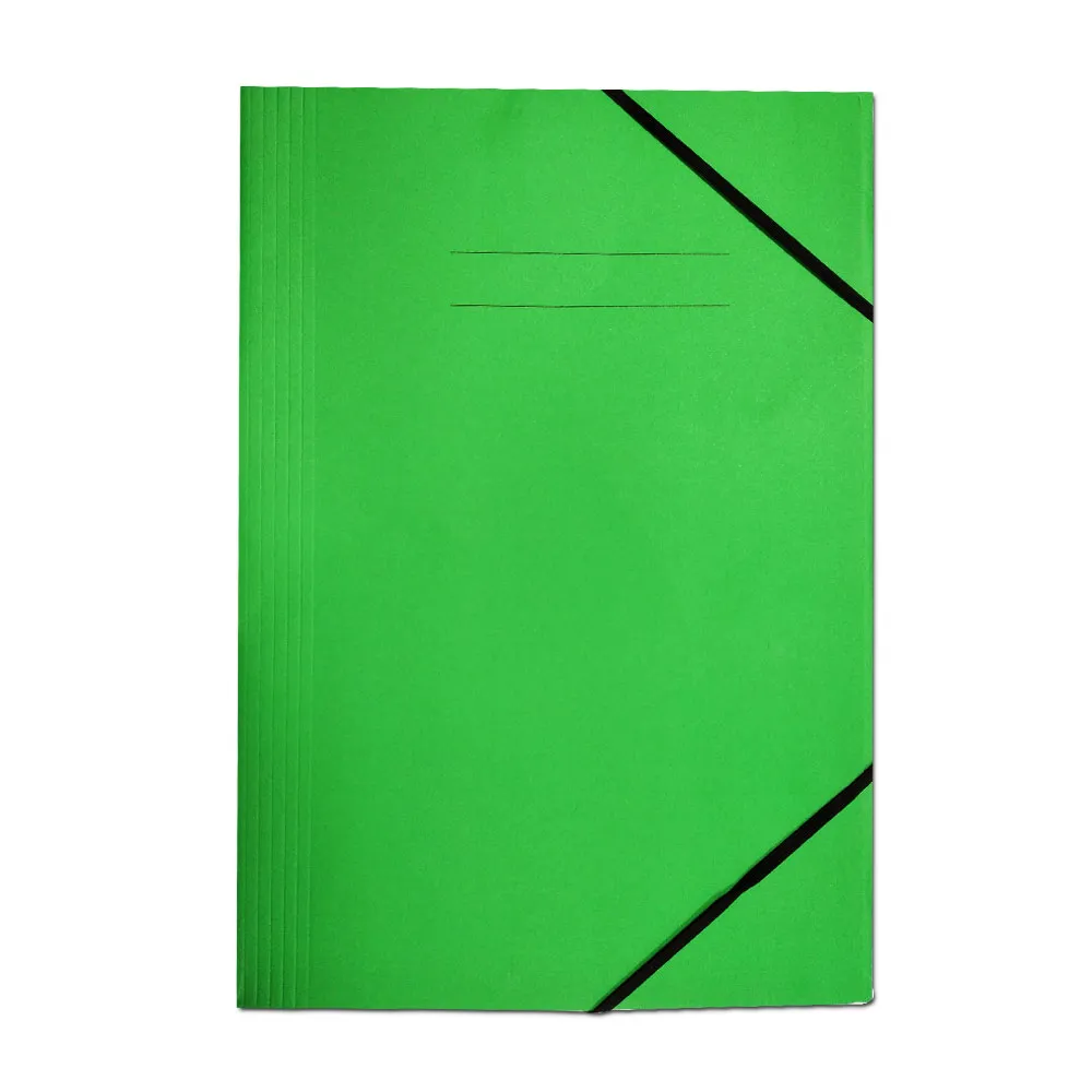 Elastic File Bristol  300 Gms, Green Winpac