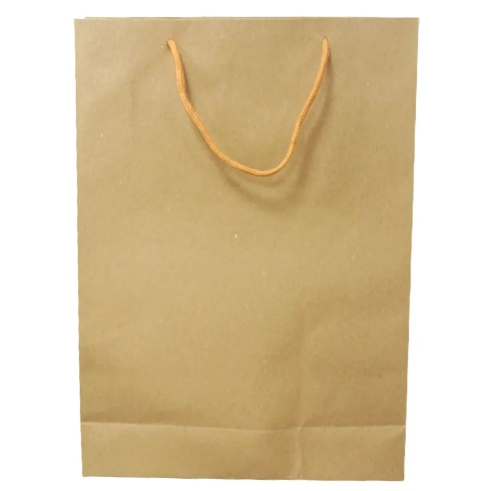 Paper Bag Ref  PBKS Size: 19*24cm WYS