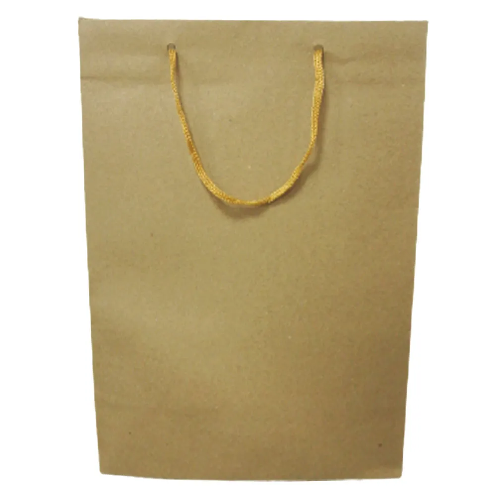 Paper Bag Ref PBKL kraft : Size : 31*42 cm WYS