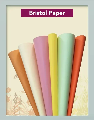 Bristol Paper