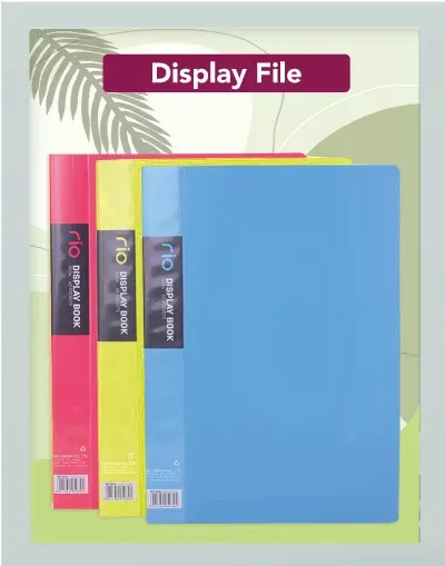 Display file