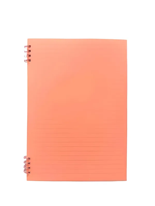 Spiral Notebook Ref 19-306 B5:60 pages MeliMelo