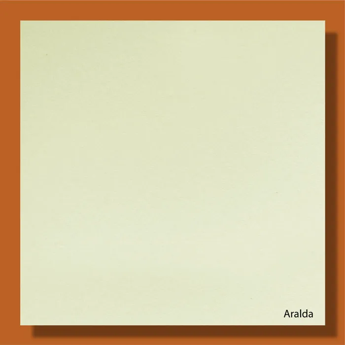 Aralda 120gsm - 640*900mm Favini