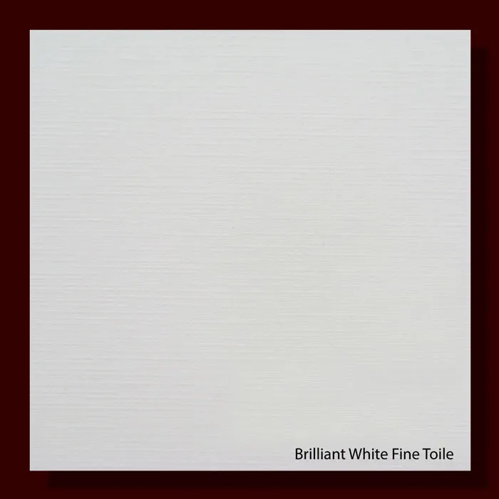 Fine Toile Brilliant White 300gsm Embossed Paper - 670*980mm Milano
