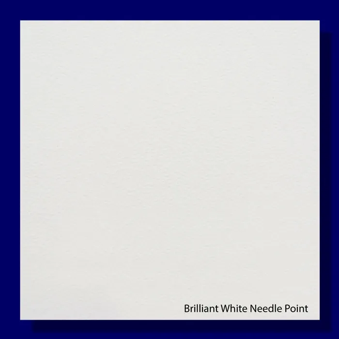 Needle Point Brilliant White 300gsm Embossed Paper - 670*980mm Milano