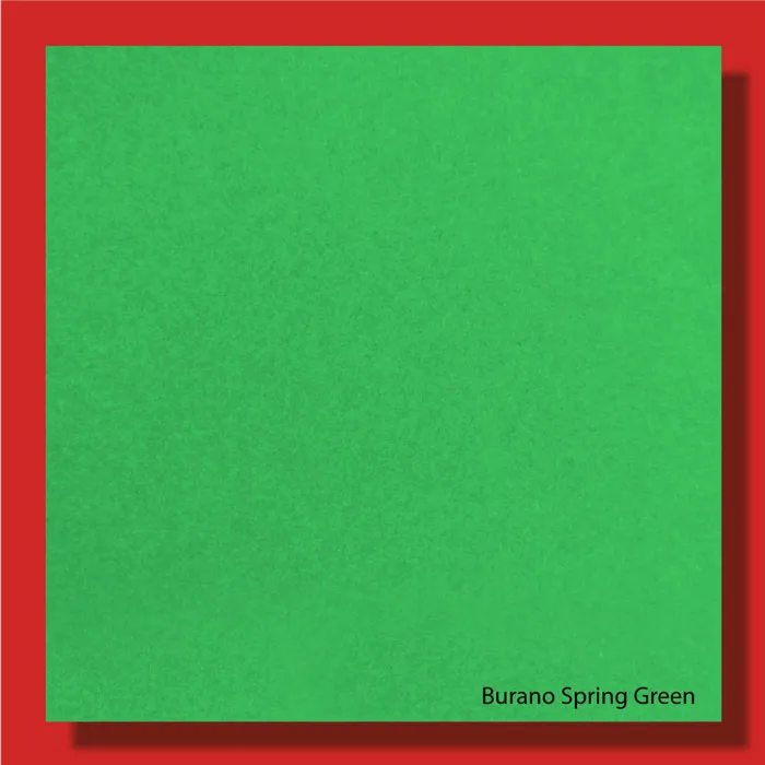 Burano Spring Green 250gsm - 700*1000mm Favini