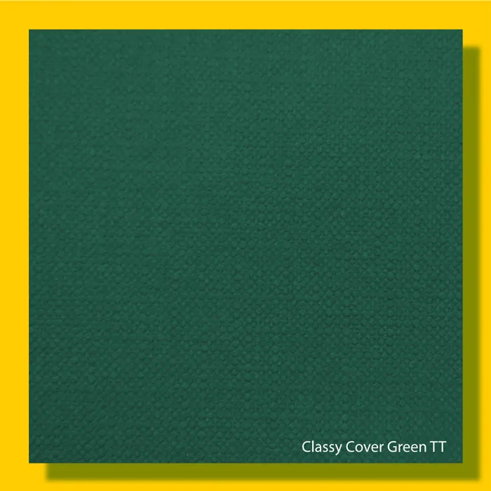 Classic Covers Green 120gsm - 720*1000mm Favini