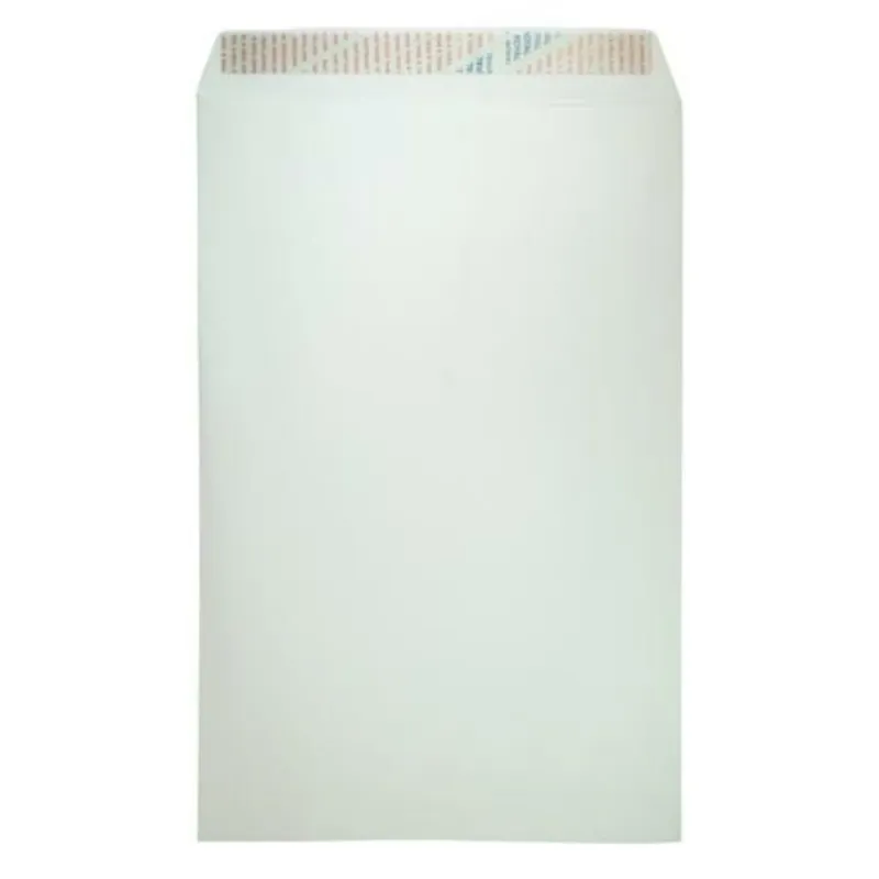 Envelope White Plain 10"x15", W254*D381mm [Pk100] PP