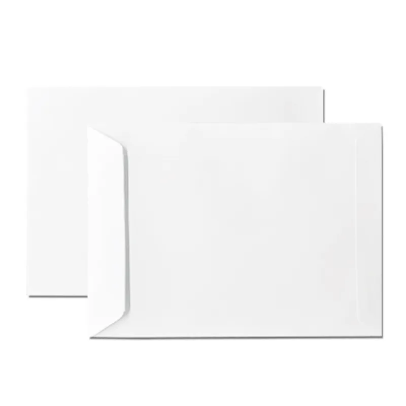 Envelope White Plain A4, W229*D324mm, PS [Pk 100] Daya
