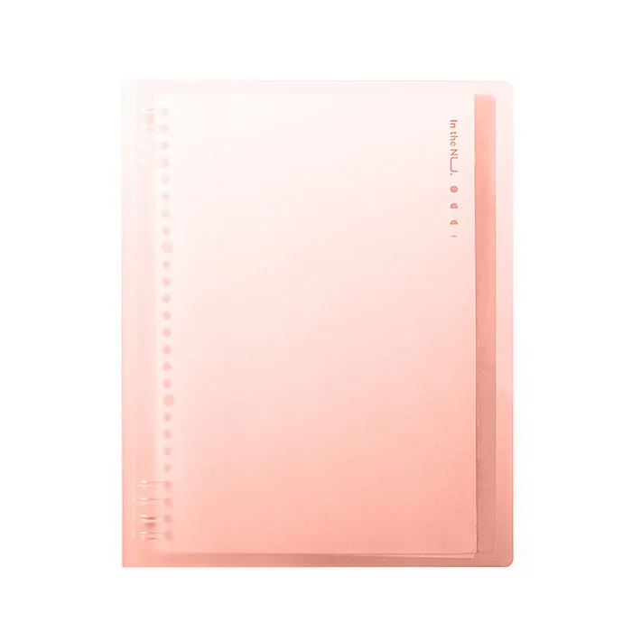 Loose Leaf Notebook Ref NS320 B5,40 Sheets Deli