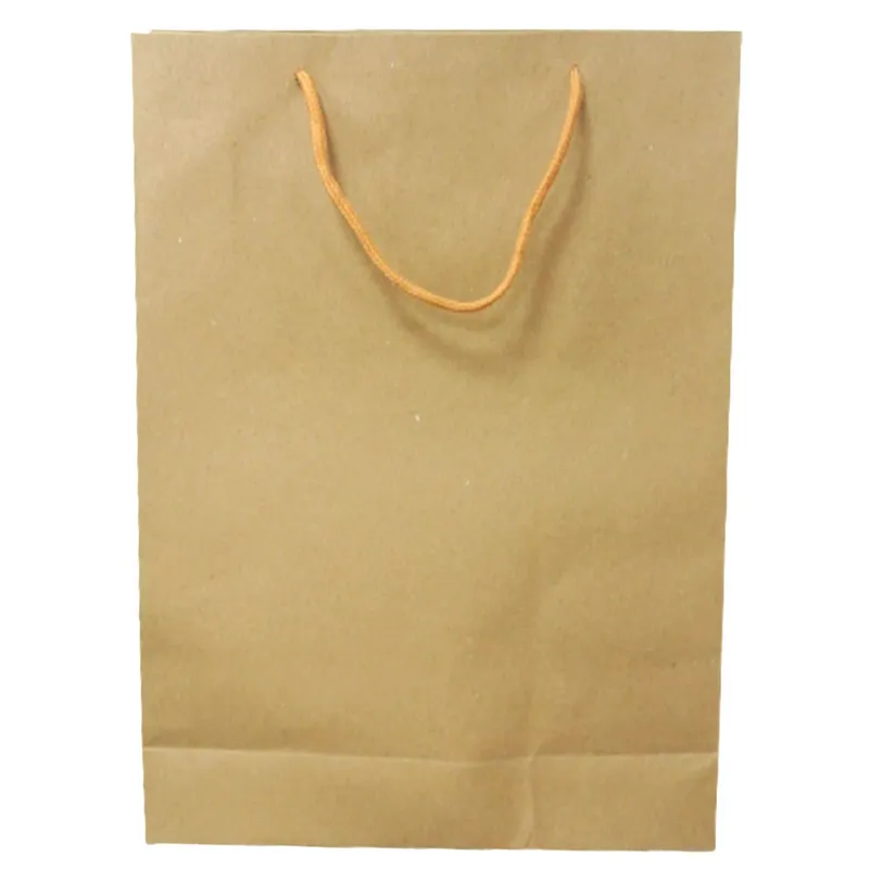 Paper Bag Ref  PBKS Size: 19*24cm WYS