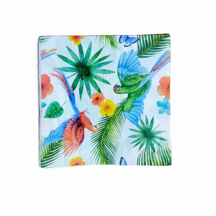 Napkins Assorted Design FW